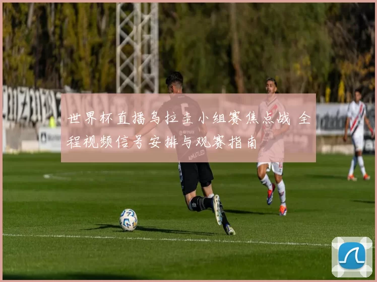 世界杯直播乌拉圭小组赛焦点战 全程视频信号安排与观赛指南