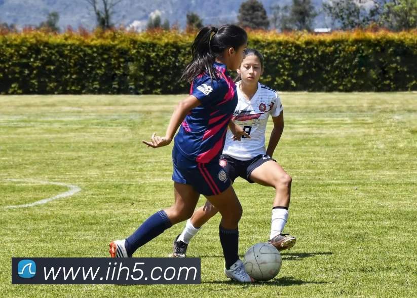 多媒体互动体验